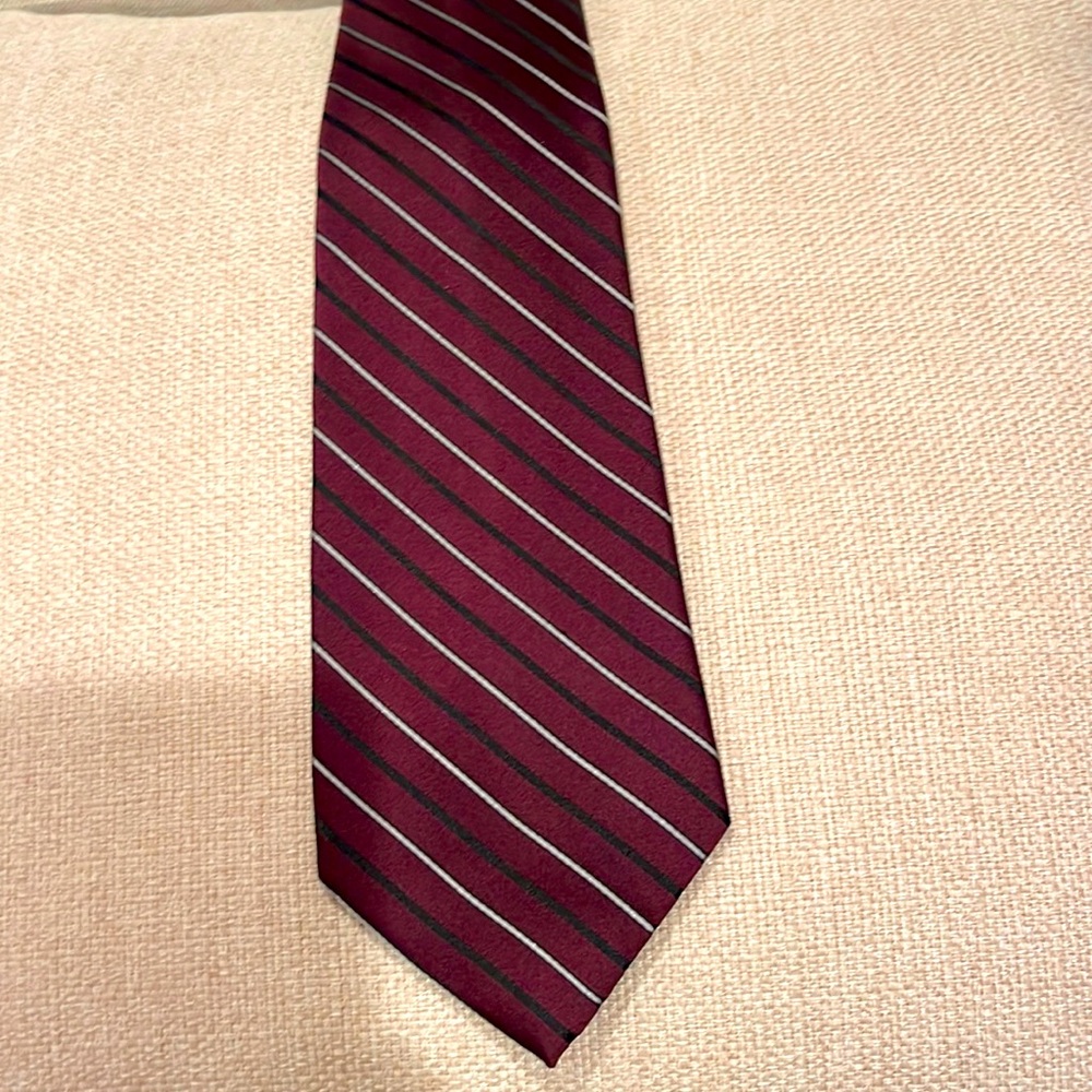 Campia Moda Elegant Burgundy Stripe Silk Tie